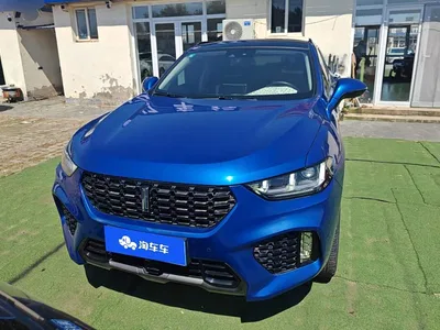 2017 WEY VV5 2.0T Flagship Model, фото 2, лот 10290007