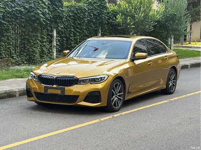 2020 BMW 3 Series 325Li M Sport Package, фото 1, лот 11215336