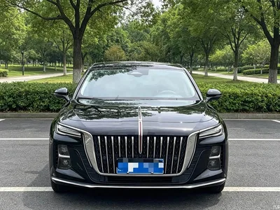 2023 Hongqi H5 2.0T Auto Smart Connect Flag Comfort, фото 2, лот 10289023