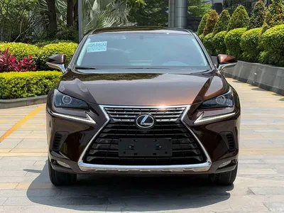 2018 Lexus NX Model 200 FWD Fengxing Edition China V, фото 2, лот 10313276
