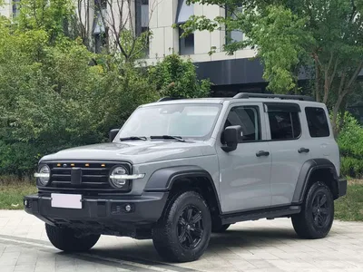 2021 Tank 300 Off-road Version 2.0T Conqueror, фото 1, лот 10765307