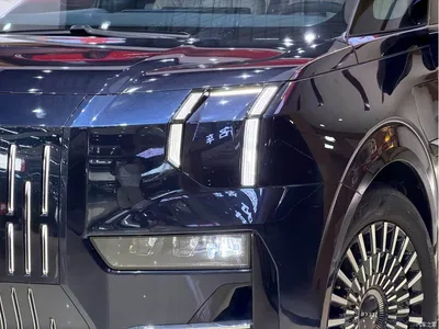 2022 ZEEKR 009 ME Edition, фото 3, лот 10290570