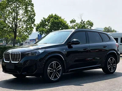 2024 BMW X1 xDrive25Li M Sport Package, фото 1, лот 11190909