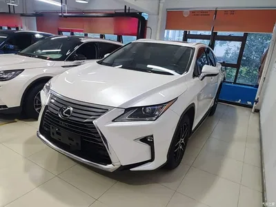 2016 Lexus RX 300 2WD Elite Edition (China V), фото 1, лот 10319770