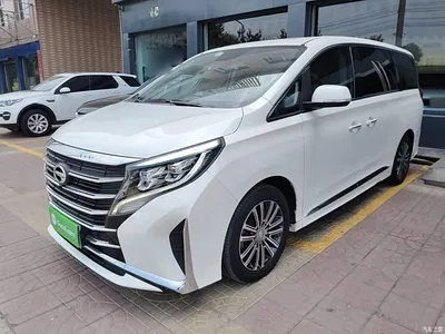2021 GAC Trumpchi Trumpchi M8 Leading Show Series 390T Prestige Edition, фото 1, лот 10421904