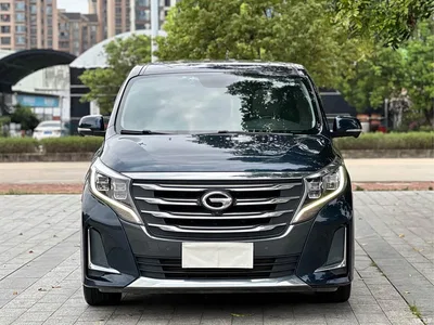 2020 GAC Trumpchi Trumpchi M8 Pilot 390T Ultimate Edition, фото 2, лот 10415968
