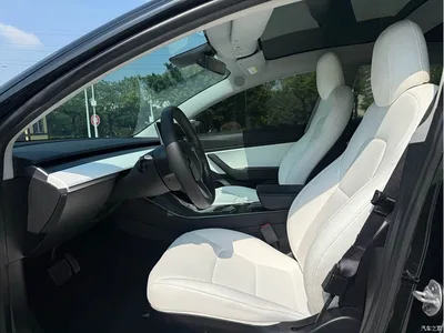 2019 Tesla Model 3 (Import) Long Range All-Wheel Drive Edition, фото 4, лот 10362604