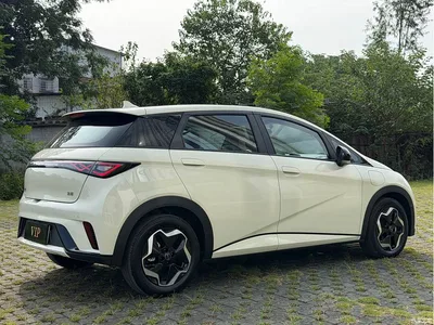 2025 BYD Dolphin 420km Vitality Edition, фото 4, лот 10888700