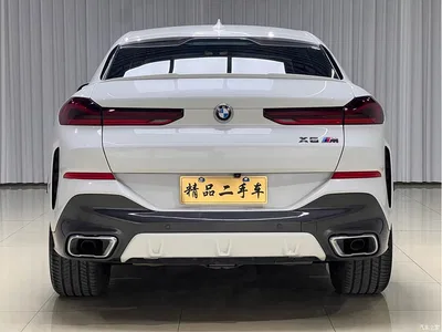 2020 BMW X6 xDrive40i M Sport Package, фото 4, лот 10468950