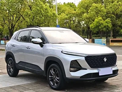 2020 Baojun RS-3 1.5L CVT 24-hour Online Elite Model, фото 3, лот 10406294