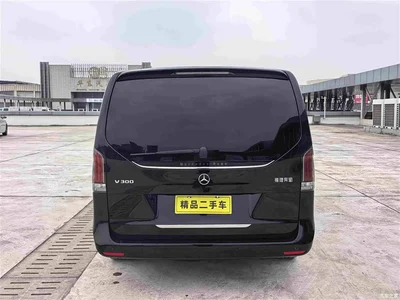 2024 Mercedes-Benz V-Class V 300 Pilot Edition, фото 4, лот 10812325