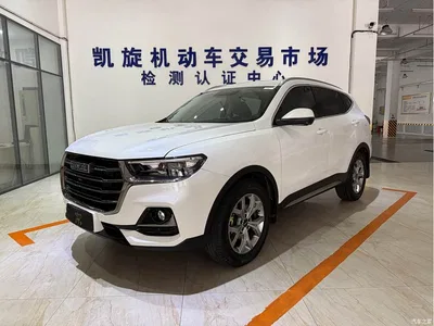 2021 Haval H6 Model National Trend Edition 1.5T Auto Champion, фото 1, лот 10281878