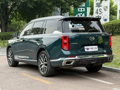 2022 GAC Trumpchi Trumpchi GS8 Hybrid Series 2.0TM 4WD Premium Edition (7-Seater), фото 4, лот 10414782