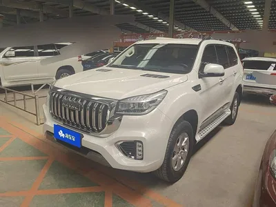 2020 Haval H9 2.0T Gasoline 4WD Elite 5-Seater, фото 1, лот 10298829