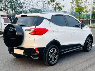 2021 BYD Yuan Pro Lifetime Love Edition, фото 3, лот 10598175