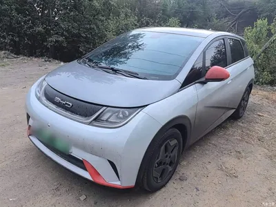 2021 BYD Dolphin Model 405km Fashion Edition, фото 1, лот 10264625