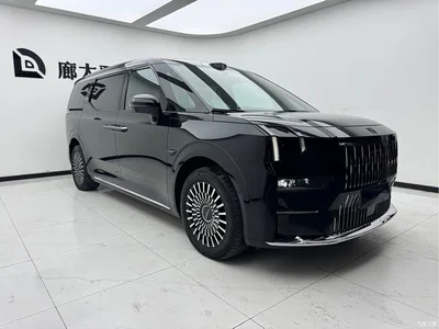 2024 ZEEKR 009 6-seat Executive AWD 108kWh, фото 3, лот 10291543