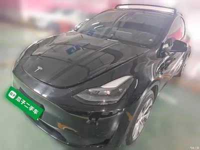 2022 Tesla Model Y Facelift Rear-Wheel Drive Version, фото 1, лот 11448685