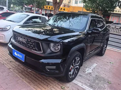 2023 Haval Da Gou 2nd Gen 2.0T 2WD Trendy Off-road Edition Plus, фото 1, лот 10615736