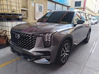2022 GAC Trumpchi Trumpchi GS8 Pilot Series 2.0TGDI 2WD Luxury Smart Connect Edition (7-Seater), фото 1, лот 10421647