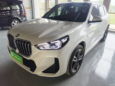 2024 BMW X1 sDrive25Li M Sport Package, фото 2, лот 10467308