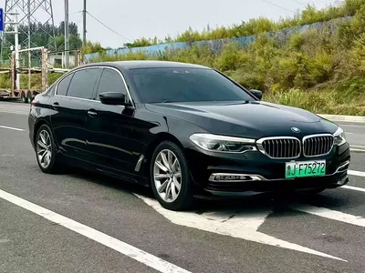 2018 BMW 5 Series New Energy 530Le Luxury Package, фото 1, лот 11135684