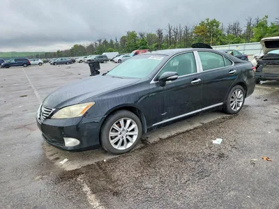 2010 LEXUS ES 350, фото 1, лот 10845737