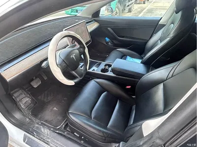 2020 Tesla Model 3 Standard Range Rear-Wheel Drive Upgrade, фото 4, лот 10357740