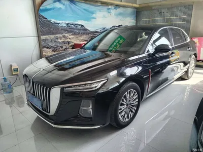 2024 Hongqi H5 2.0T Automatic Smart Connect Flag Enjoy Edition, фото 1, лот 10289056
