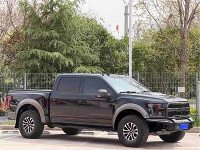 2019 Ford F-150 Raptor 3.5T Raptor Performance Enhanced Edition, фото 3, лот 10305967