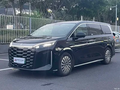 2025 BYD Xia DM-i 1.5T 180km Excellence, фото 1, лот 11189555