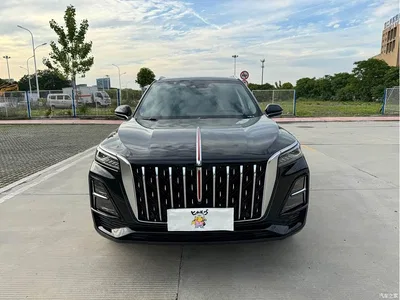 2023 Hongqi HS5 2.0T AWD Flag Enjoy Pro Edition, фото 2, лот 10288013