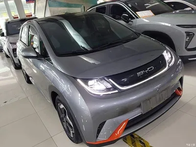 2021 BYD Dolphin Model 405km Fashion Edition, фото 4, лот 10382176