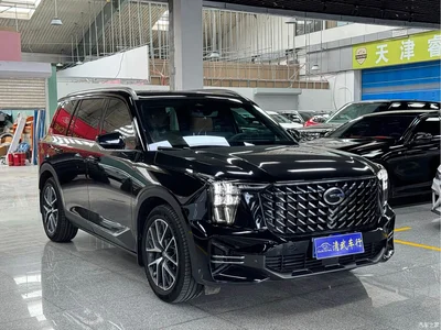 2025 GAC Trumpchi Trumpchi GS8 Pilot Series 2.0TGDI 2WD Luxury Edition 5-seater, фото 3, лот 10416564