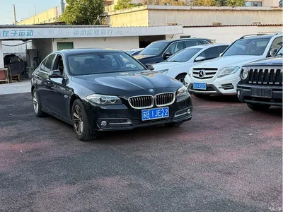 2014 BMW 5 Series (Import) 520i Classic, фото 3, лот 10474253