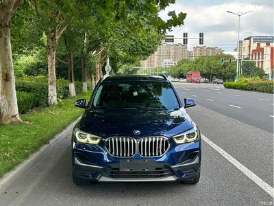 2020 BMW X1 sDrive25Li Leading Model, фото 2, лот 10466480