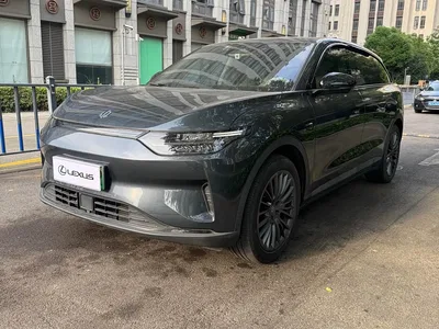 2023 Leapmotor C11 Pure Electric 500 Comfort Edition, фото 1, лот 10768640