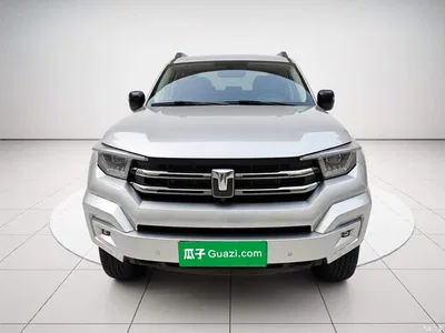2024 Tank 400 New Energy Hi4-T Off-Road Edition, фото 2, лот 10450144