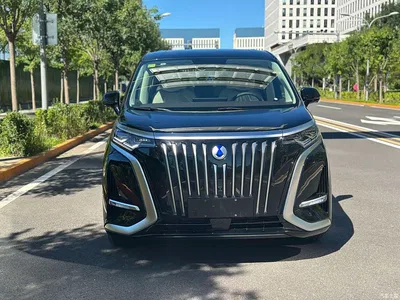 2024 Denza D9 EV 620 Premium, фото 2, лот 10350971