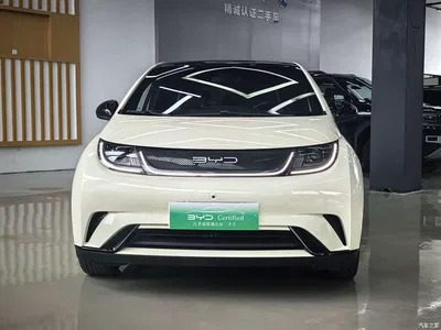 2023 BYD Dolphin 420km Fashion Edition, фото 2, лот 10397977