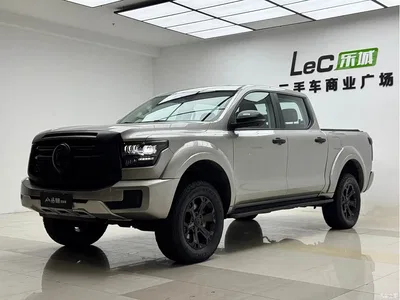 2025 Great Wall Shanhaipao Hi4-T Hi4-T Global Edition, фото 1, лот 11172331