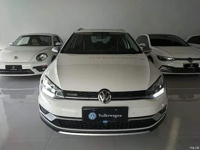 2019 Volkswagen Golf (Import) 1.8TSI Wagon, фото 3, лот 11241247
