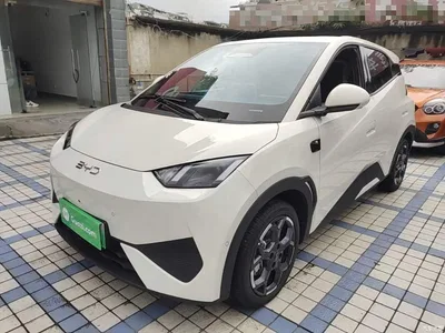 2025 BYD Seagull Smart Drive Edition 305km Freedom Version, фото 1, лот 10764279