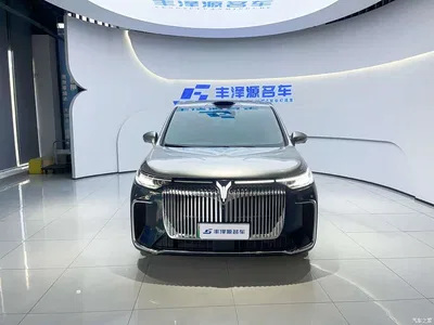 2025 Voyah Auto Voyah Dreamer Model PHEV 4WD Premium QianKun Edition, фото 2, лот 10358643