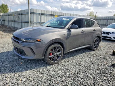 2024 DODGE HORNET R/T PLUS, фото 1, лот 10804681