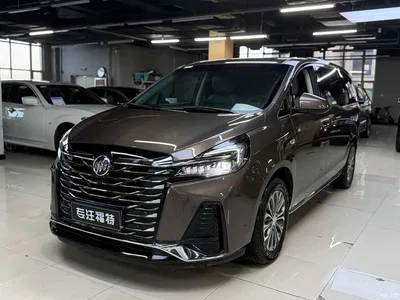 2022 Buick GL8 Land Business Class 652T Comfort, фото 1, лот 10257173