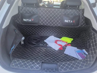 2021 Nezha Auto Nezha V Standard Range Entertainment Upgrade, фото 4, лот 10823937
