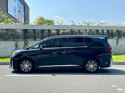 2021 GAC Trumpchi Trumpchi M8 Leading Show Series 390T Ultimate Edition, фото 3, лот 10398190