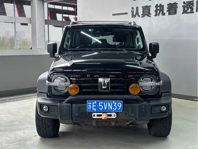 2021 Tank 300 Off-road Version 2.0T Conqueror, фото 2, лот 10344083