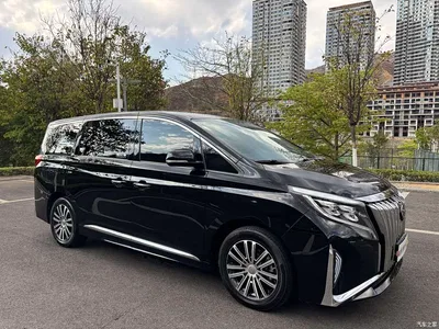 2021 GAC Trumpchi Trumpchi M8 Leading Show Series 390T Prestige Edition, фото 3, лот 10420773